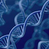 Test de Ancestros analizado por EGO Genomics en A Coruña  Genotica  al precio de 250€